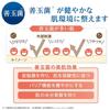 SONOKO Pure Moist Cream 40g [Renewed] Moisturizing cream with moisturizing ingredients: hyaluronic acid, ceramide. High moisturizing effect.