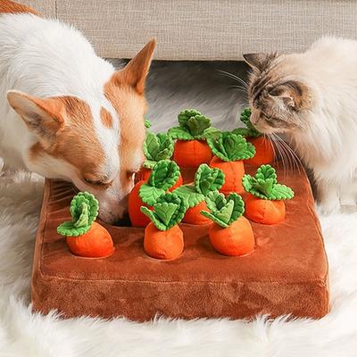 Κλέφτης σκυλοτροφής κουτάβι παιχνίδι πεδίο καρότων για εργασία μύτης, χαλάκι εργασίας μύτης-πεδίο καρότων, χαλάκι εργασίας μύτης-πεδίο καρότων