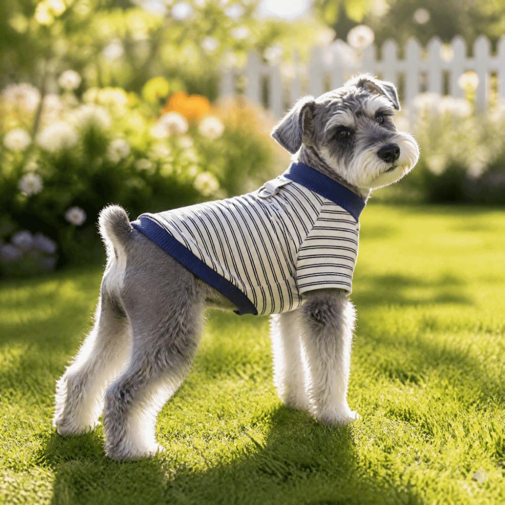 Color-Blocked Dog Two Legged Clothes Stylish and Cool Cat Vest Pet Apparel Dog T Shirts Leash Use