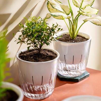 1/2 Pezzi Vaso da Fiori Acqua Automatica Auto-Annaffiante Porta di Riempimento Idroponica con Fori di Drenaggio Vaso da Fiori Base Trasparente Vaso per Piante