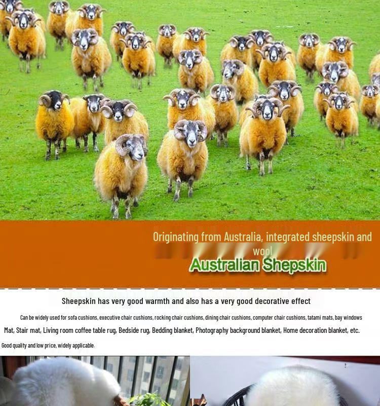 Australian Wool Sheepskin Rug: Long-Hair Irregular Bedside Mat & Sofa Blanket