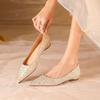 Fashion French Pointed Women's Soft-soled Single Shoes 2025 Spring and Summer New Versatile, Comfortable and Not Tired Flat-soled Single Shoes