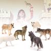 Wolf Figurines Set Realistic Wolf Family Figures Educational Toys Cake Toppers for Kids Aged 3 Years Old and U