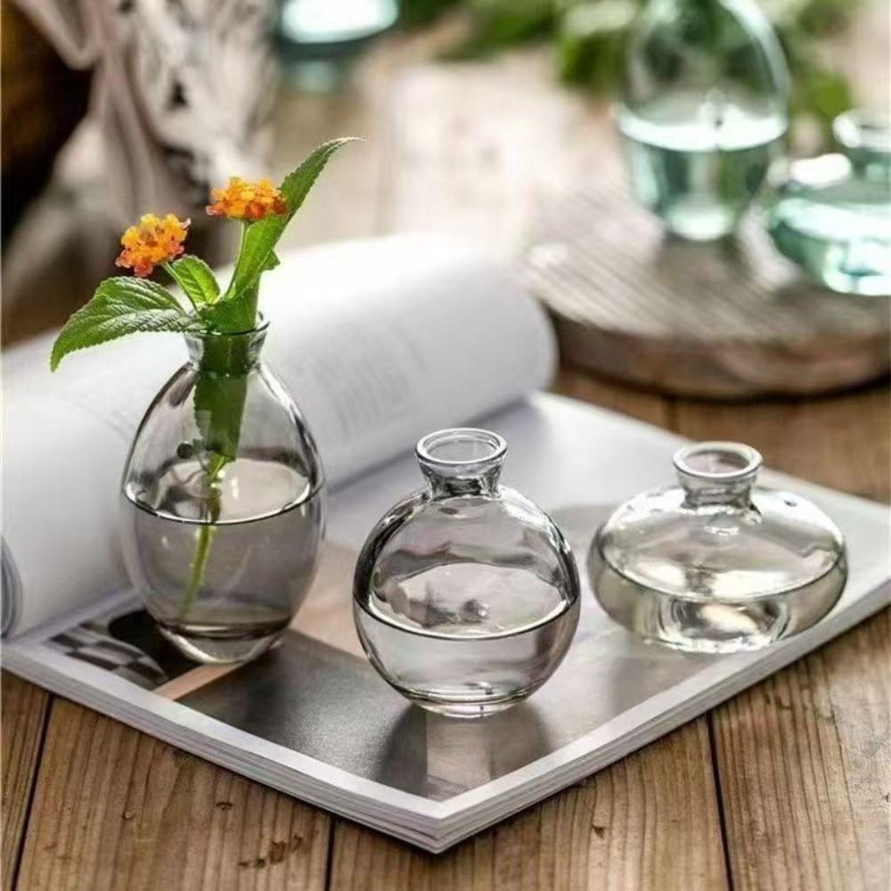 

Nordic Transparent Glass Vase Avocado Seed Starters Vase Minimalist Small Plant Pots Gift for Gardening Lovers Home Decor