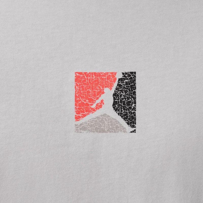 Jordan Printed Pattern Breathable Sports Knit Short Sleeve T-Shirt Men Tops IF3065-100