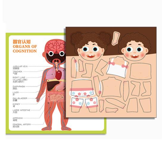 Magnetic Body Structure Puzzle Book Wooden Preschool Body Parts Learning Puzzle Book Parent-child Interactive Educational Human Anatomy Book