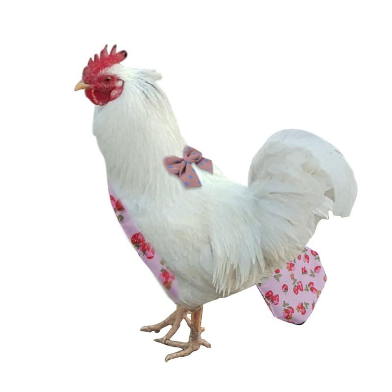 Pet Duck Chicken Goose Diaper Pants Reusable Absorbent Small Birds Training Cleanliness