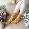 [Set of 10] Women's Polka Dot Banded Mid-Calf Socks
