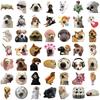 10/30/50pcs Cute MEME Dog Graffiti Stickers Funny Animal Decals Decoration DIY Notebook Guitar Scrapbook Car Cartoon Sticker Toy