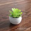 Artificial Succulent Mini Lotus Plant Decor Set Plastic DIY Terrarium Ornament Home Office Desk