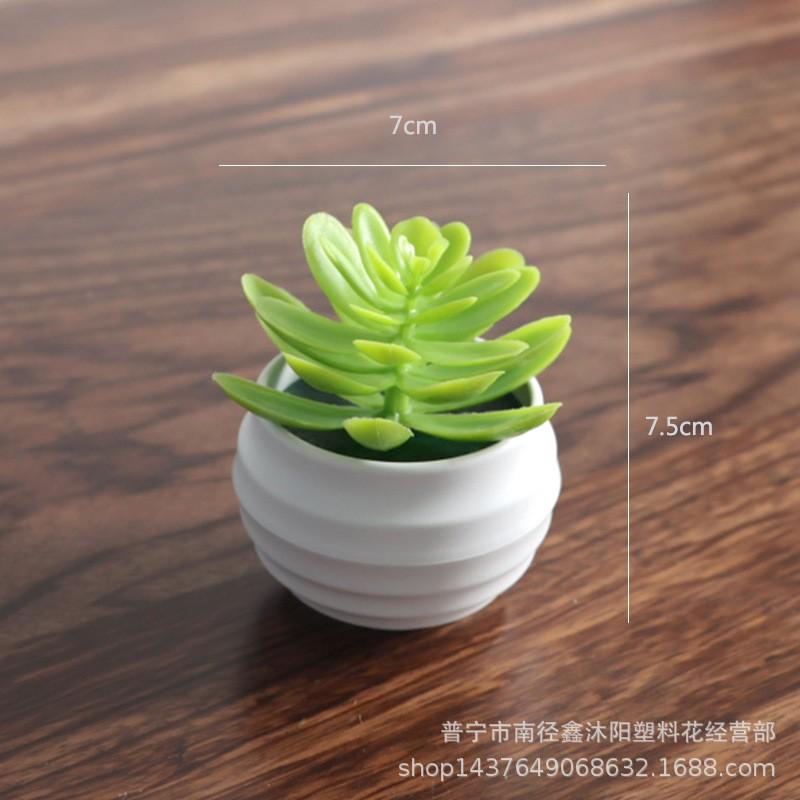Artificial Succulent Mini Lotus Plant Decor Set Plastic DIY Terrarium Ornament Home Office Desk