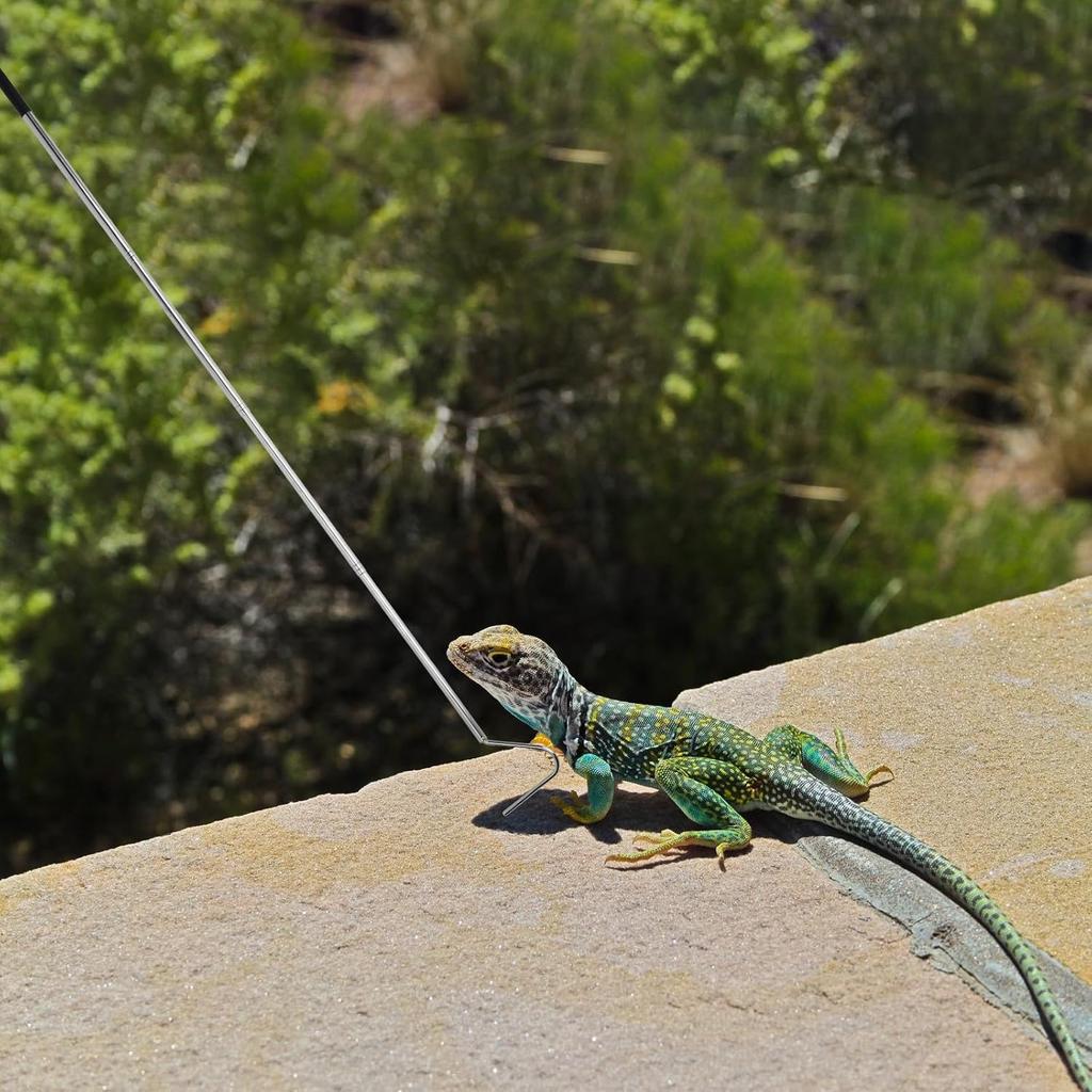 40 Inch Snake Hook, Stainless Steel Extensible Grappling Hook, Pick-Up Handling Tool, Pet Snake Accessories, Pool Skimmer Basket Hook