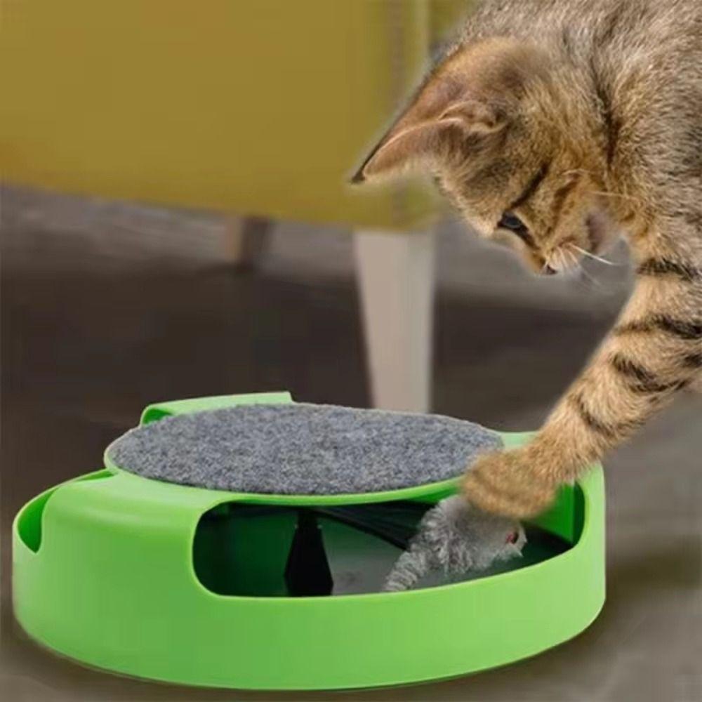 Scratching Board Kitten Interactive Toys Attract Attention Cat Scratcher Toy Cat Supplies