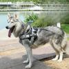 Dog Leash Explosion-proof Pet Chest and Back Strap, Medium and Large-sized Dog Anti-breakaway Dog Chest and Back Walking Leash