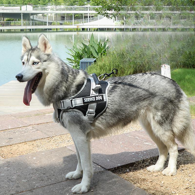 Dog Leash Explosion-proof Pet Chest and Back Strap, Medium and Large-sized Dog Anti-breakaway Dog Chest and Back Walking Leash