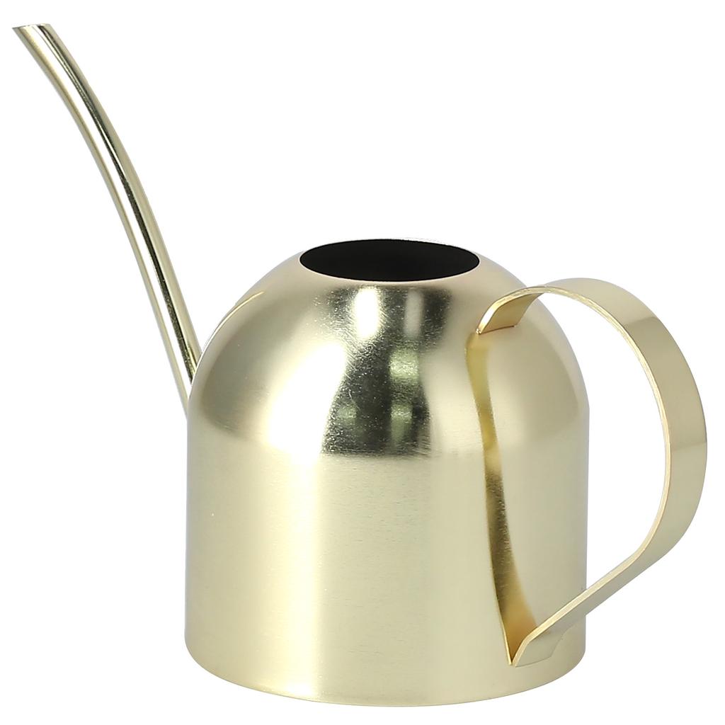 1000ML Vattenkanna Inomhus Vintage Rostfritt Stål Suckulenter Blommor Växter Vattningskittel Kruka Guld