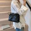 New Fashion Bow Fresh and Beautiful Niche Pleated Armpit Bag Casual Versatile Single Shoulder Messenger Bag Women