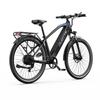 DUOTTS C29 Max Electric Bike for Adults with Bluetooth LCD, 48V 18Ah Battery, 29"