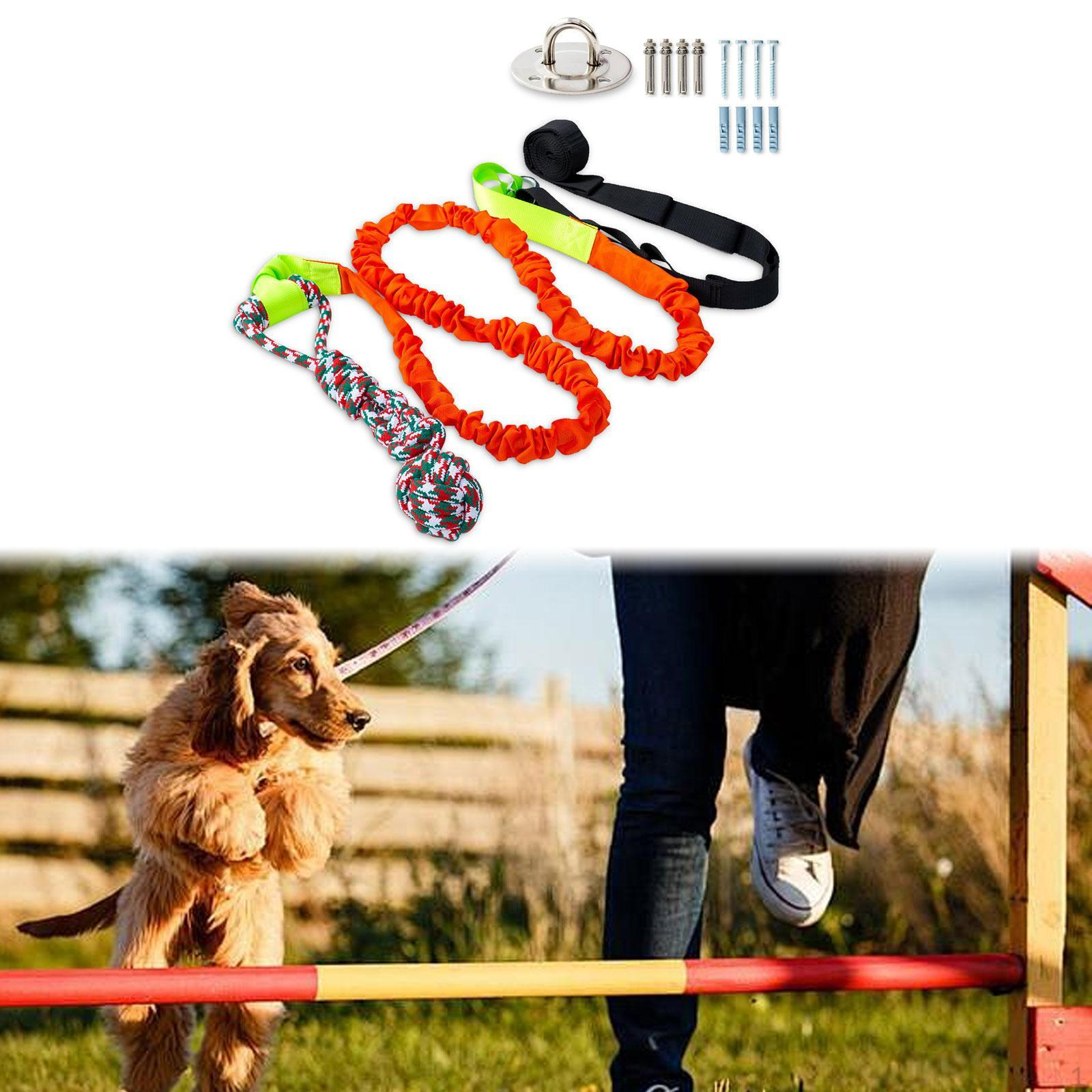 

Подвесная игрушка-банджи для собак на открытом воздухе, интерактивная игрушка-перетягиватель каната для питбуля оранжевый