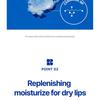 Realbarrier - Extreme Moisture Lip Balm