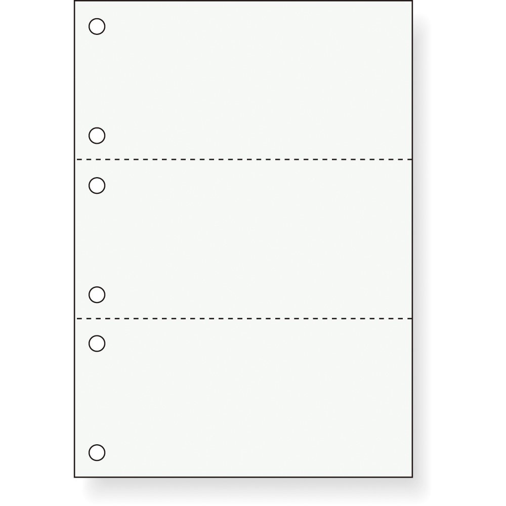 Nakabayashi Printer Form Paper, Cut Forms, A4, 3-Sided, 6-Hole, Blank, 1000 Sheets, BMP-E03H