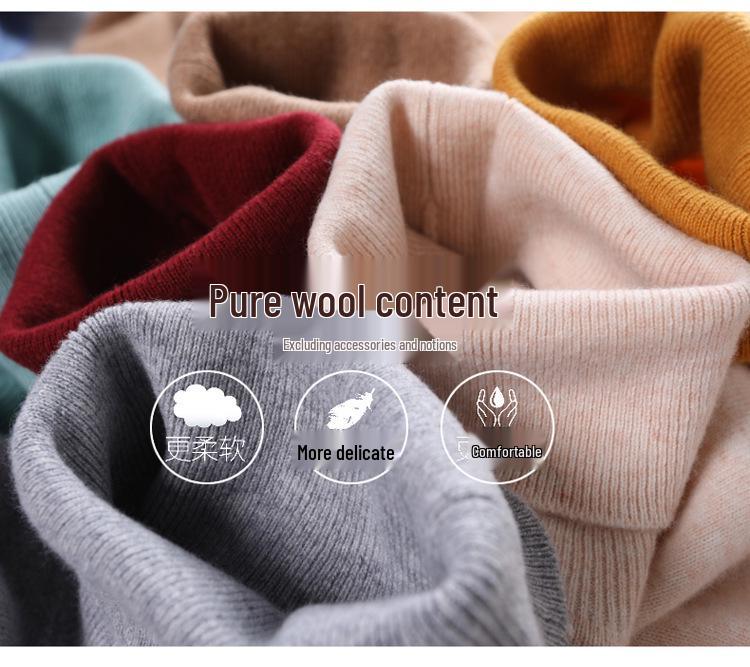 2025 Autumn/Winter Women's Pure Wool High Neck Cashmere Pullover - Solid Color, Loose Fit, Short Knit Sweater