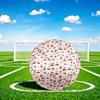 Fußball – Fußbälle