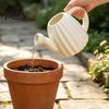 Ergonomic Handle Water Can Cute Cactus Watering Can, Shower Head Plastic Small Plant Waterer Pot, for Houseplants, Indoor Flowers Decorative