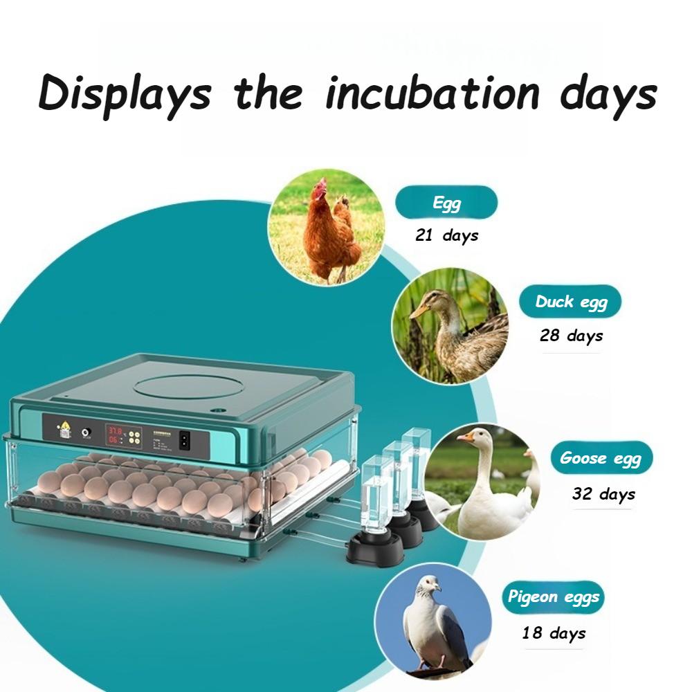 Intelligent Egg Incubator Automatic Egg Flipping Hydration Temperature Control Goose/duck/quail/pigeon Eggs Breeding Incubators