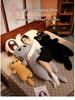 Japanese Fat Cat Plush Pillow Doll - Children's Comfort & Sleeping Pillow, Women’s Plush Toy