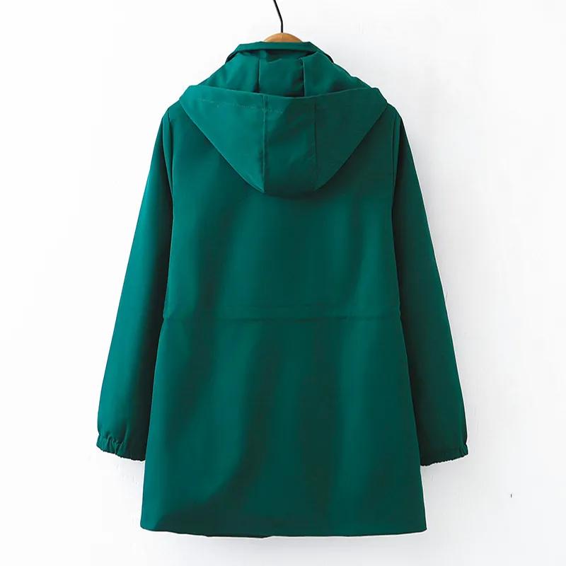 Spring and Autumn Windbreaker Jacket Spring Plus Size Slimming and Age-reducing Hooded Western Style Top