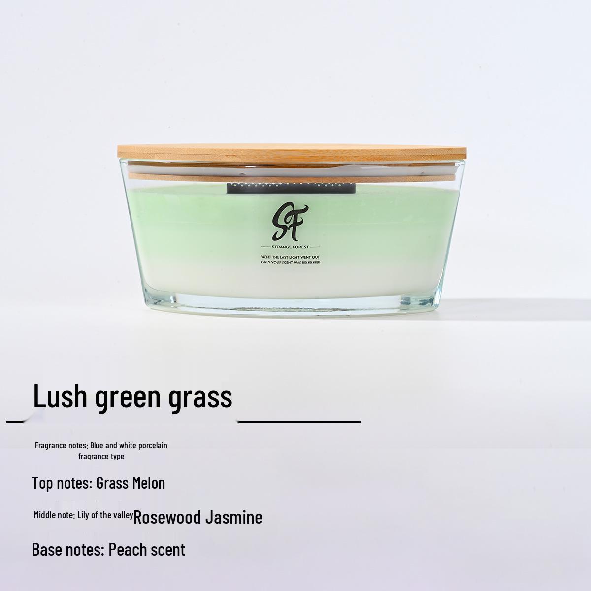 Engravable White Noise Scented Candle Gift Set with Boat Shape and Plant Fragrance