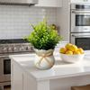 Bonsai Artificial Plants Ornaments Fake Potted Flowers Cute Decorative Potted Plants  Office