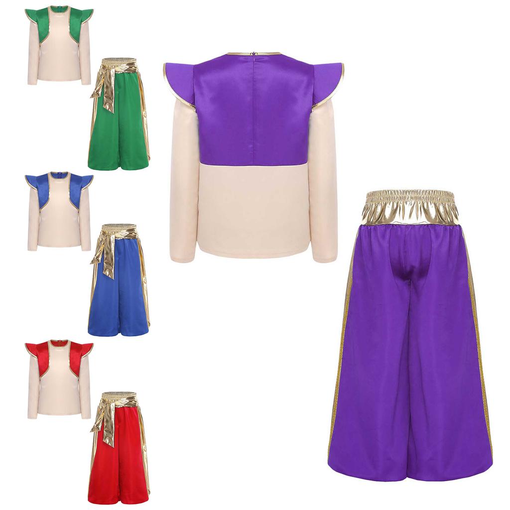 Boys Arabian Prince Costume - Metallic Shiny Harem Pants & Fake 2-Piece Top for Halloween Cosplay