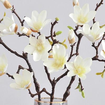 Seidenmaterial Künstliche Magnolienblüte 60 cm Länge 6 Blütenköpfe Design Simulierte Magnolie Farbverlauf Haptik Kunstblume