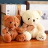 Adorable Rose Plush Teddy Bear Toy Stuffed Animal Girls Birthday Gift 20cm To 40cm
