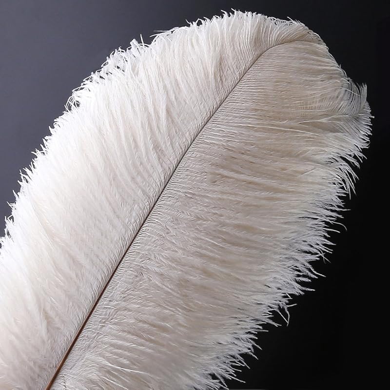 10pcs Natural Ostrich Feather Craft 16-18inch(40-45cm) Plume for Wedding Centerpieces Home Decoration (16-18inch,White) белый