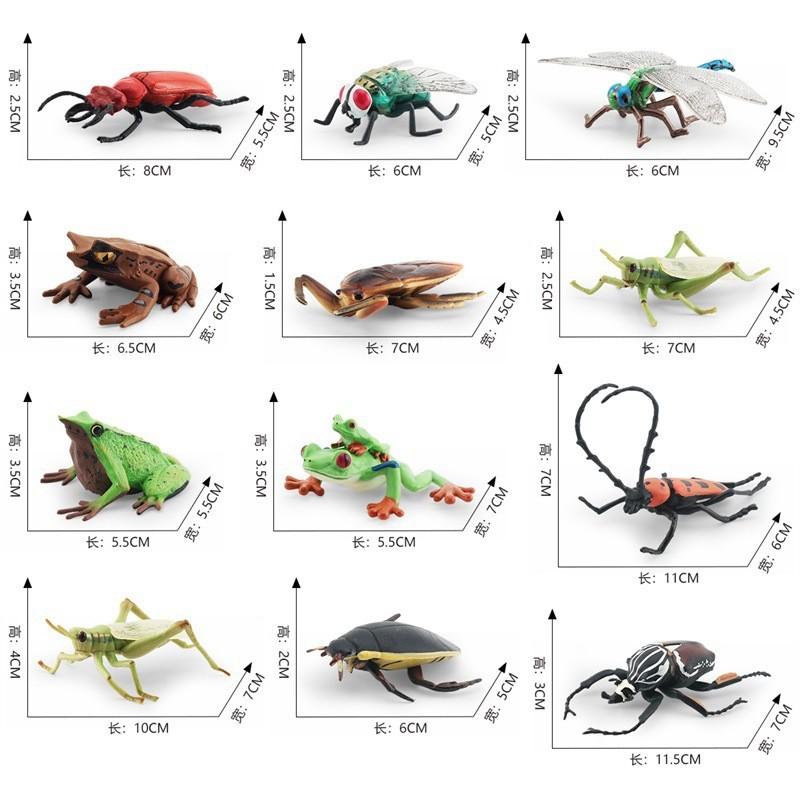 Realistic Pvc Insect Model Set Including Rhinoceros Beetle And Dragonfly For Decoration