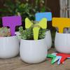 Colorful Writable Garden Plant Tags for Succulents and Flowers