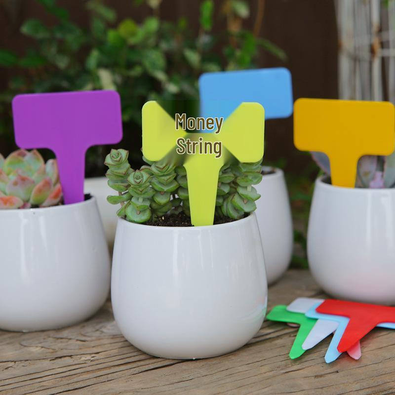 Colorful Writable Garden Plant Tags for Succulents and Flowers