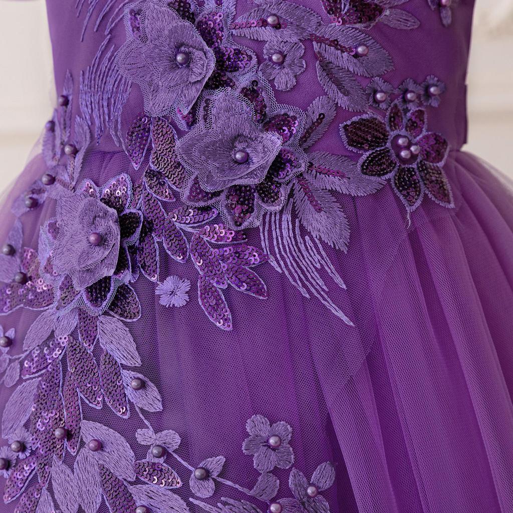Children's Princess Embroidered Formal Piano & Party Dress