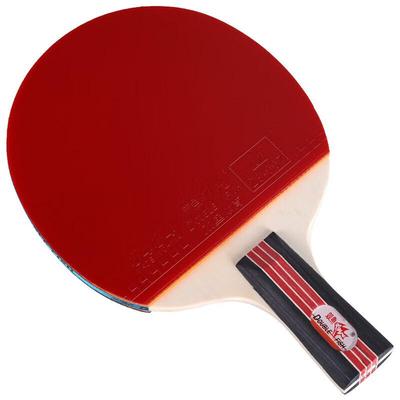 Double Fish 2-Star Beginner Penhold Table Tennis Racket