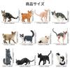 EYSCOTA CAT Animal Figure Plastic Animal Set for Kids Set, 12-Piece