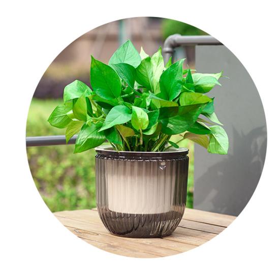 Hanging Self Watering Planter Flowerpot with Water Reservoir Wick Ropes Modern Plant Pot with Hanging Chain for Indoor Plants Ivy Spider Plants