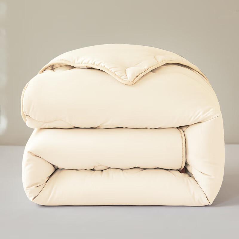 Royal Bedding Super Soft Washable Fiber Quilt