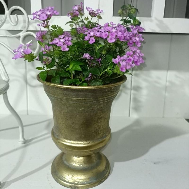 Französischer Landhausstil Pflanzgefäße Dekorative Behälter Ideal für Trockenblumen Kunstpflanzen Bauernhaus Innen Außen Landschaft