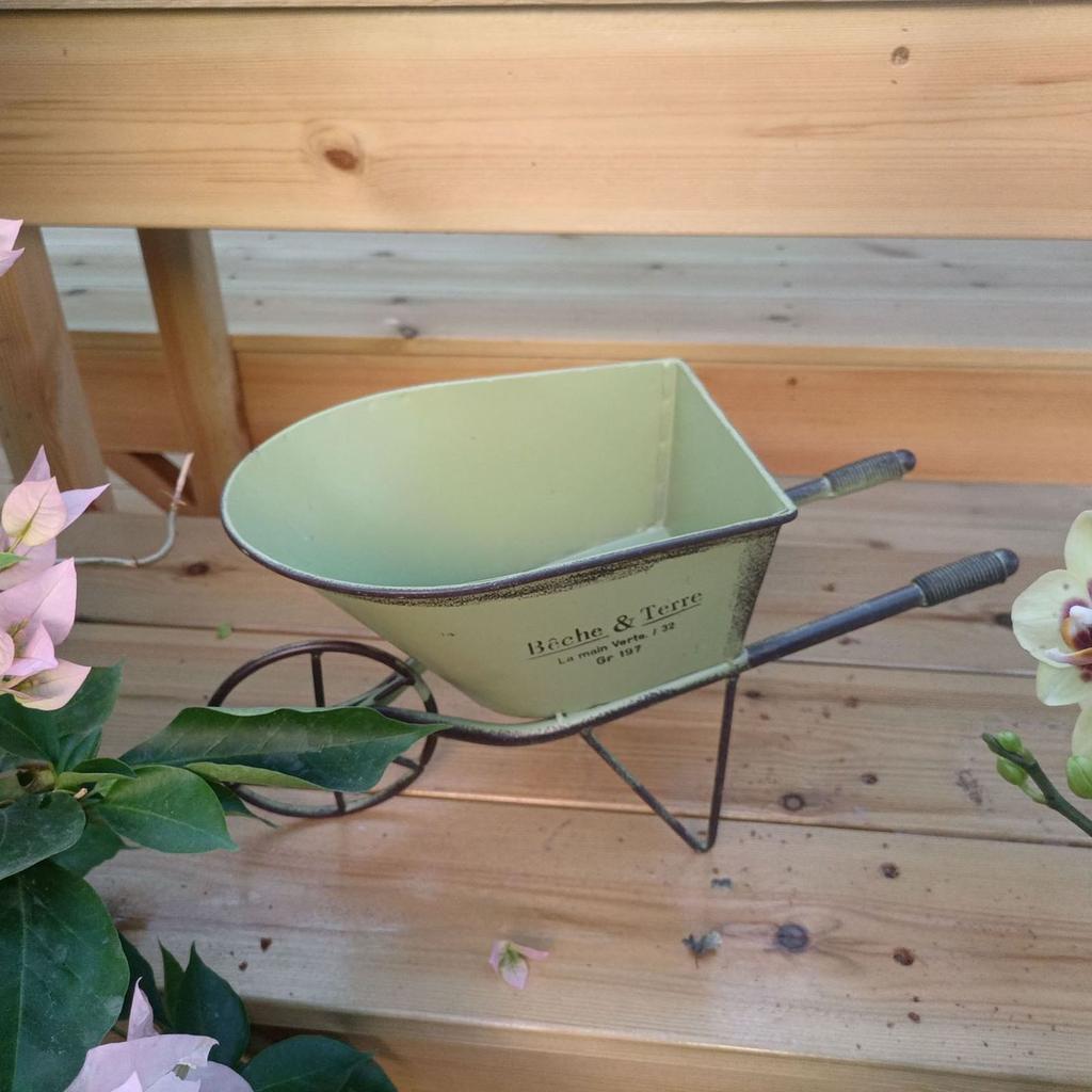 Classical Iron Art Single Wheel Cart for Garden Decors Metal Wheelbarrow Small Planter Flower Pots Plant Container Gift