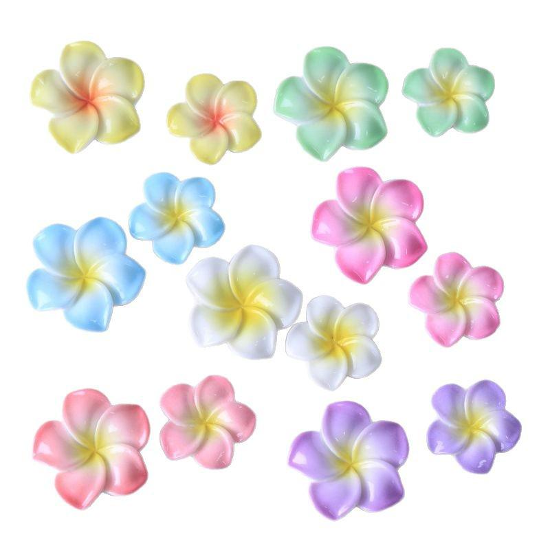 Frangipani Harzblume DIY Schmuck: Schlüsselanhänger, Anhänger, Haarspangen und Aufnäher