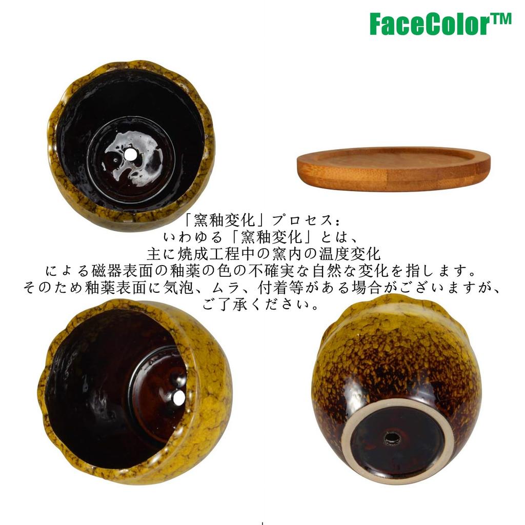 FaceColor Glazed Succulent Size Stylish Ceramic Glazed Set of 10cm Diameter x with Drainage and Bottom Net Not Pots, 3, Japanese-Style Planter,