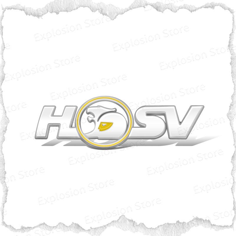 New 3D Metal Logo Emblem Decor Car Fender Side Sticker For Holden HSV Astra Commodore VT VX VU VY HSV Cruze Rodeo Astra